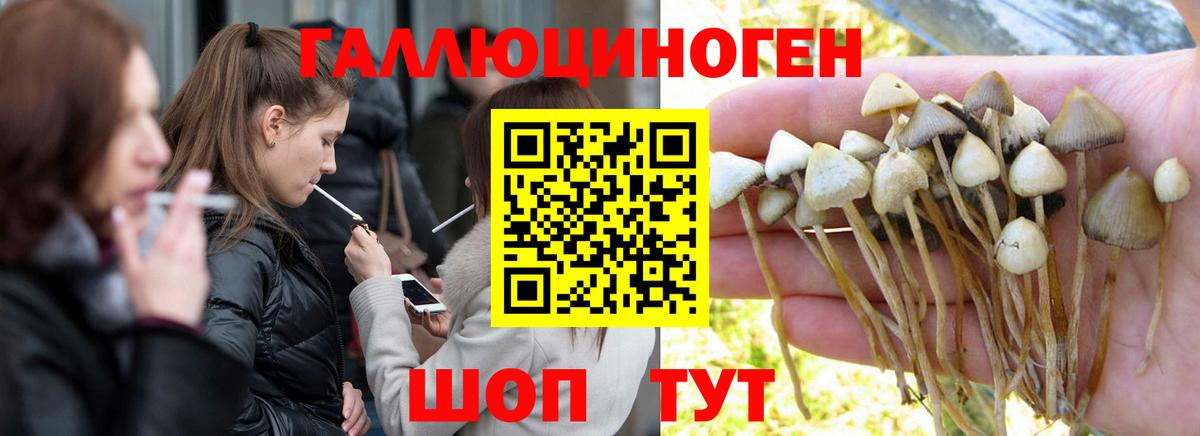 Канабис  Красноярск  Лсд 25  Мефедрон кристаллы  Вход с VPN  COCAIN  A-PVP СОЛЬ кристаллы  MDMA  ЭКСТАЗИ 